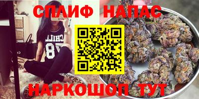 спиды Бийск