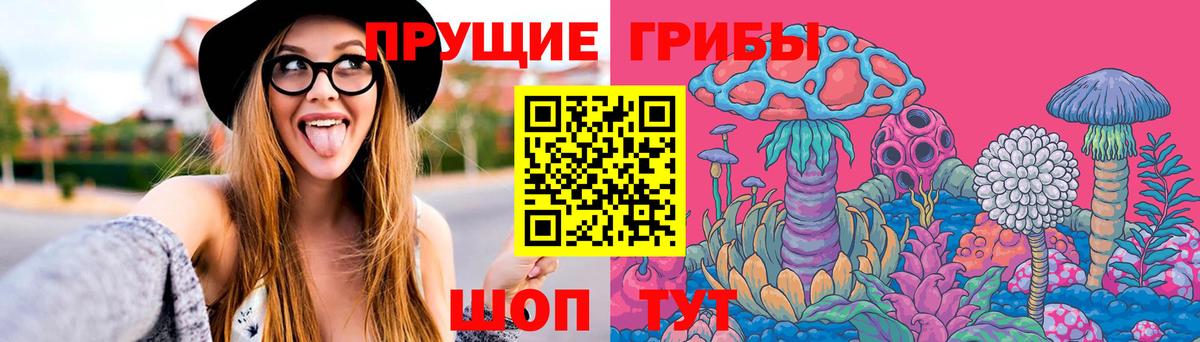Псилоцибиновые грибы GOLDEN TEACHER  Галлюциногенные грибы мухоморы  закладки  Камень-на-Оби  Вход с VPN 